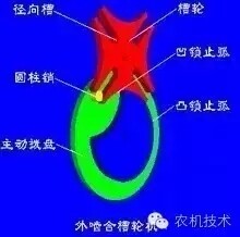 11.webp.jpg
