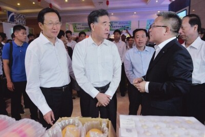 汪洋在全国“互联网+”现代农业工作会议上强调.jpg
