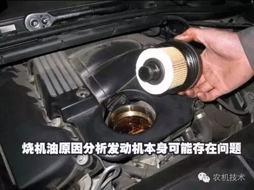 33.webp.jpg