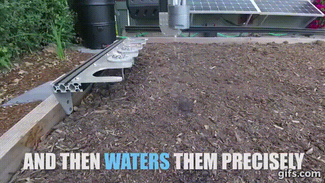 3.gif