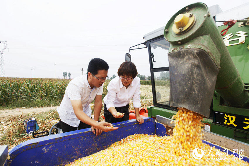 荥阳市农技专家与种粮大户在查看收获的玉米粒.jpg
