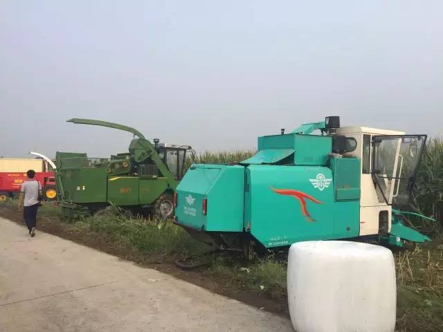 22.jpg 22.jpg