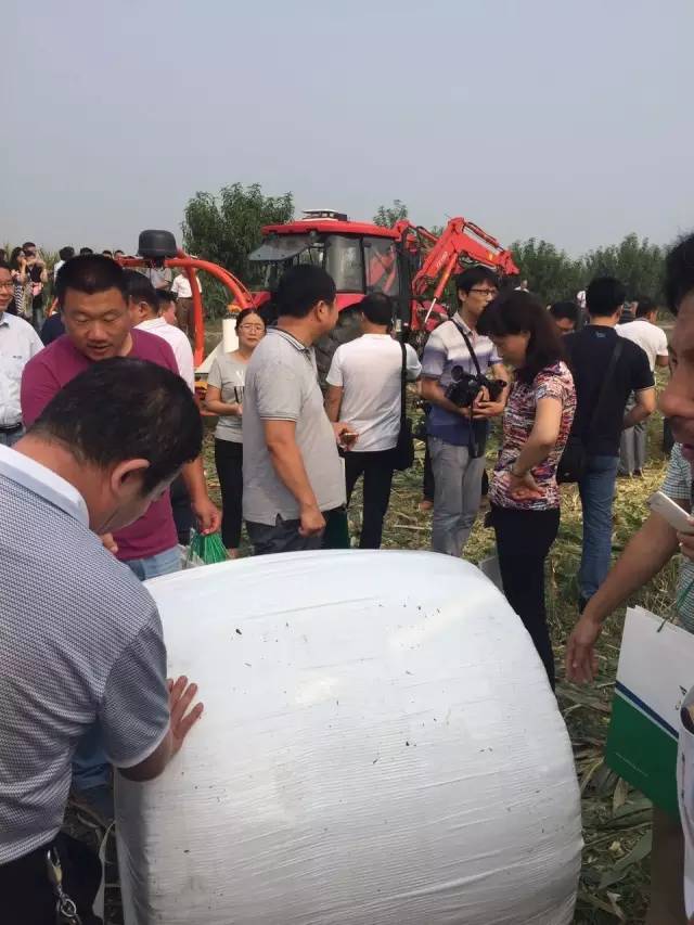 44.jpg 44.jpg