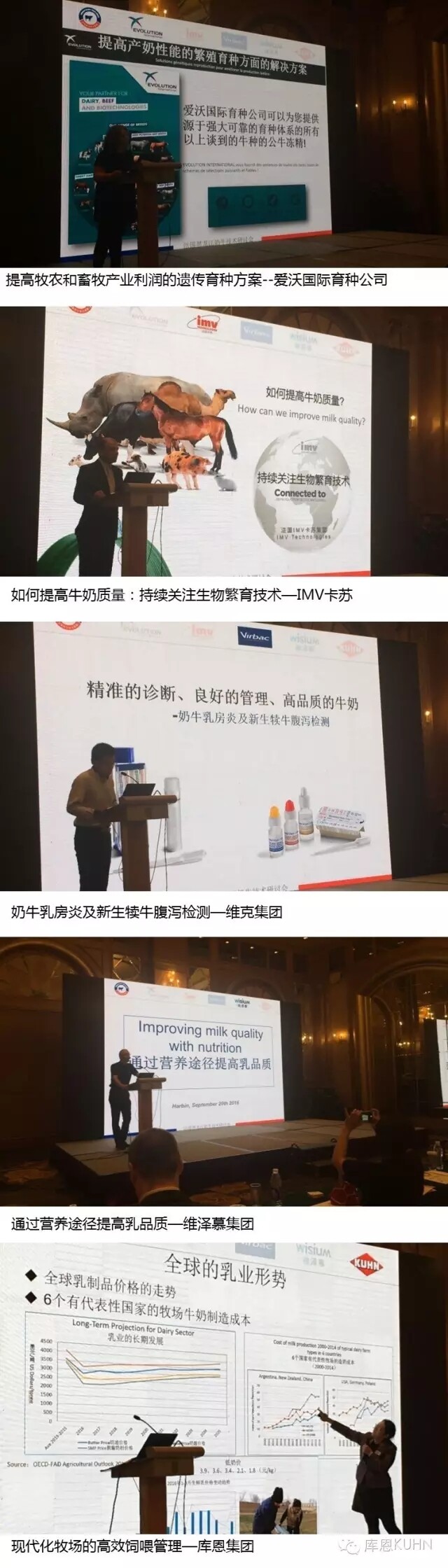 5.webp.jpg