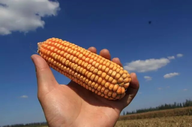 22.webp.jpg 22.webp.jpg