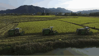 02.gif