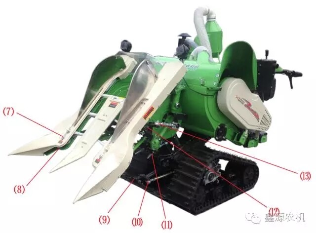 11.webp (1).jpg