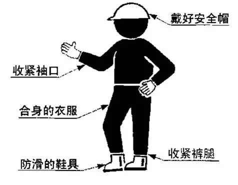 640.webp (1).jpg
