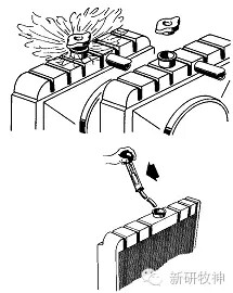 640.webp (1).jpg