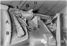 640.webp (8).jpg