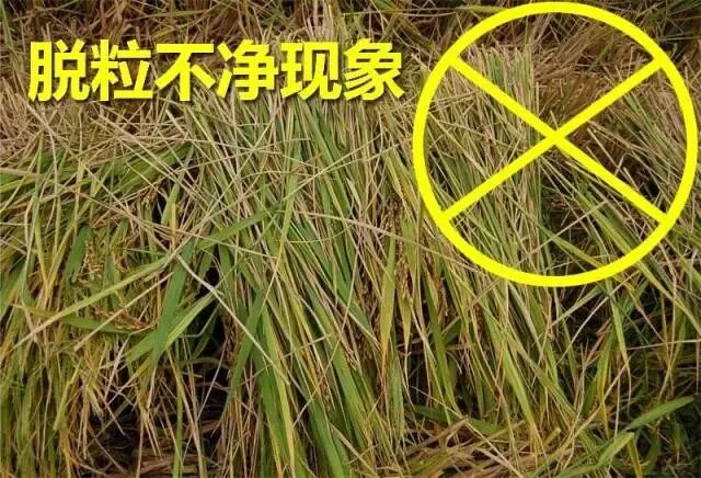 640.webp.jpg