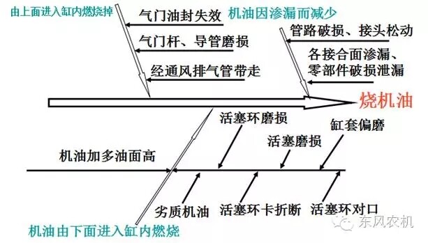 640.webp (4).jpg