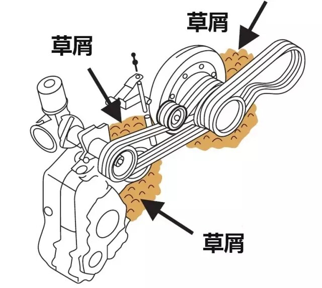 22.webp (1).jpg