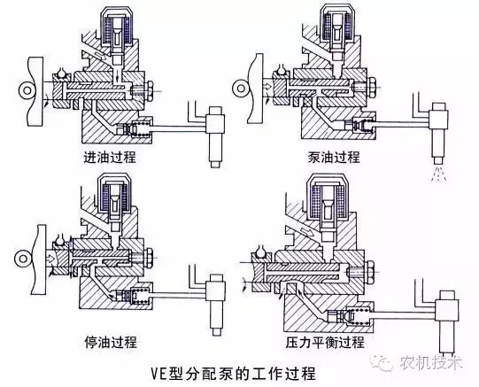 640.webp (10).jpg