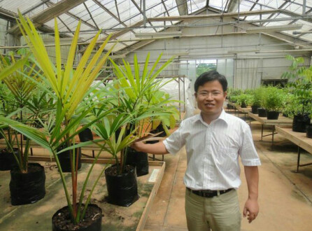 海南常年蔬菜“设施大棚农机农艺”融合研究22.png 海南常年蔬菜“设施大棚农机农艺”融合研究22.png
