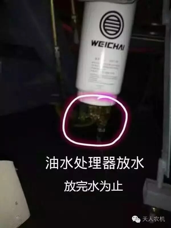 2.webp.jpg