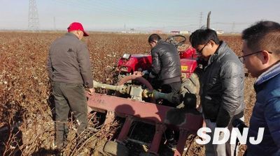滨州市农机化所与农业部南京农机化所共同试验棉秆收获新机械.jpg 滨州市农机化所与农业部南京农机化所共同试验棉秆收获新机械.jpg