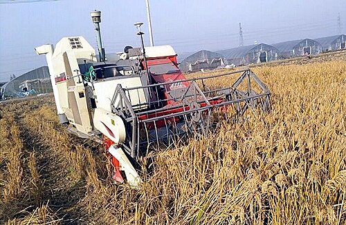 宁波：鄞企首创无人驾驶联合收割机.jpg