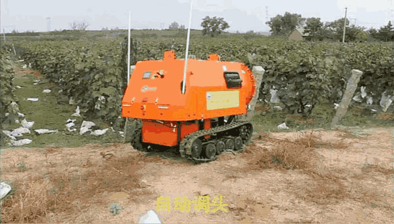 3.gif