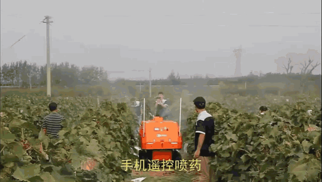 7.gif