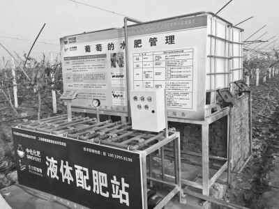 农业部与中化化肥有限公司合作推进科学施肥——22.jpg