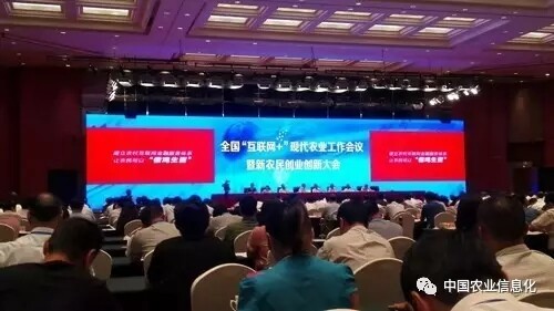 11.webp (1).jpg