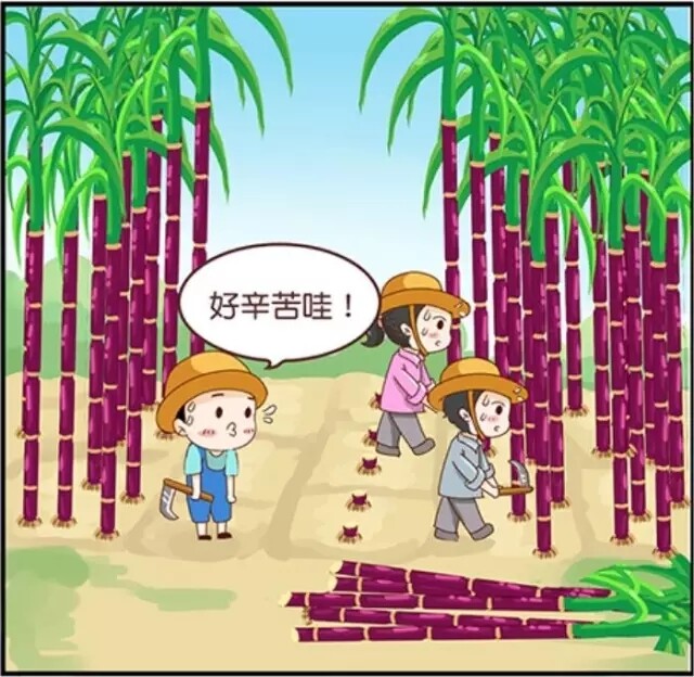 11.webp (1).jpg