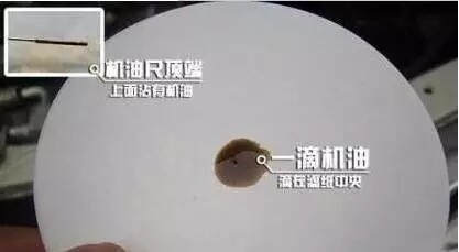 4.webp (1).jpg