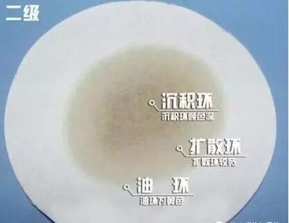 2.webp.jpg