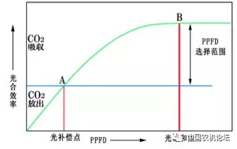 640.webp (1).jpg