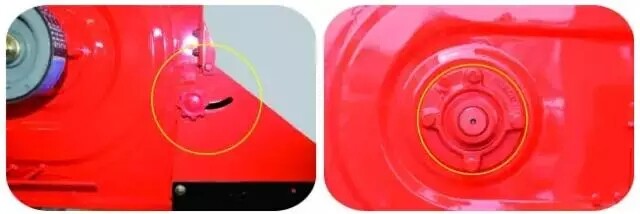 2.webp.jpg