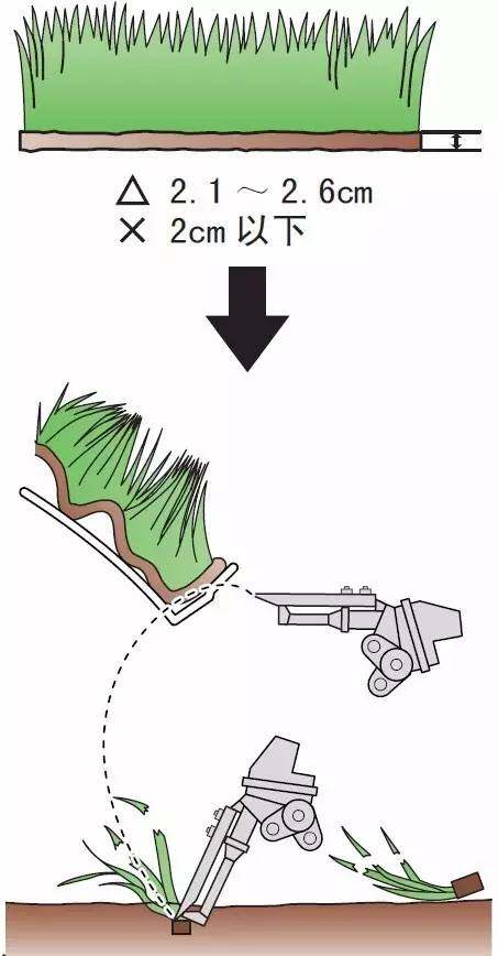 44.jpg