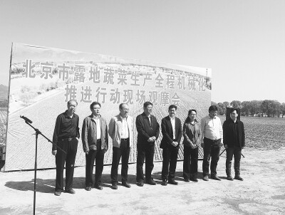 北京着力推动蔬菜生产11.jpg