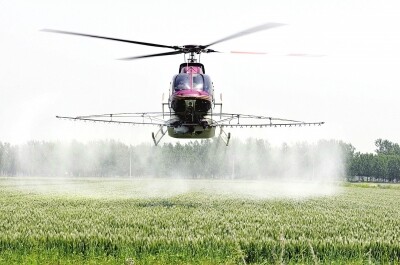 临沂：直升机“治”麦病.jpg
