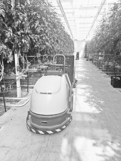 西红柿坐着电磁轨道车出大棚.jpg 西红柿坐着电磁轨道车出大棚.jpg