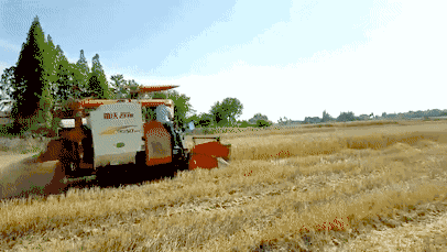 11.gif