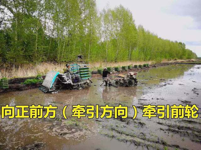 640.jpg