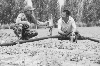 新疆兵团八十三团农业综合开发自动化滴灌项目竣工.jpg