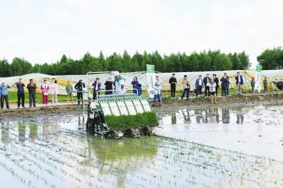 常发自动驾驶插秧机作业演示受肯定.jpg