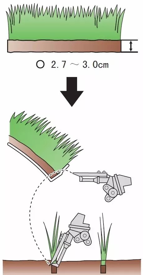 640.webp (1).jpg