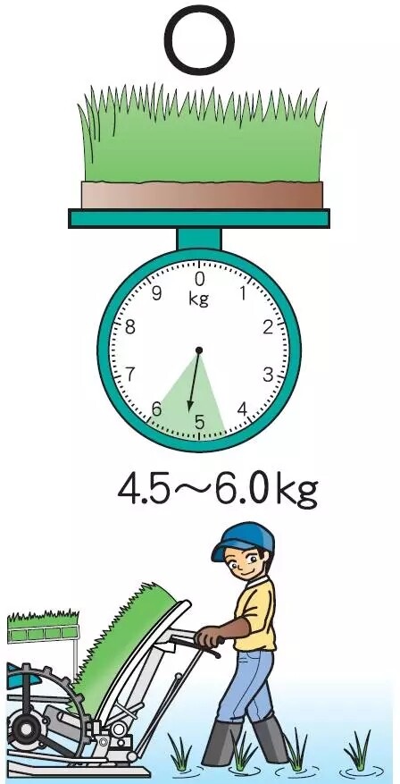 3.webp.jpg
