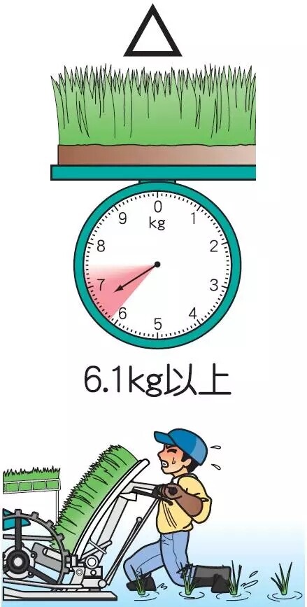4.webp.jpg