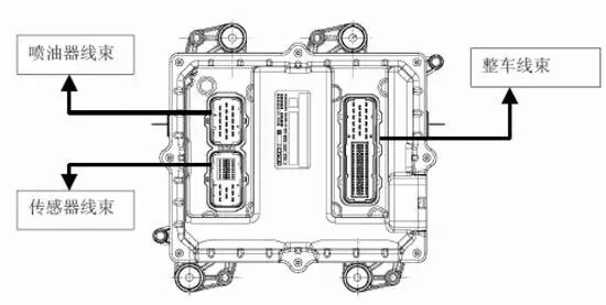 640.webp (9).jpg