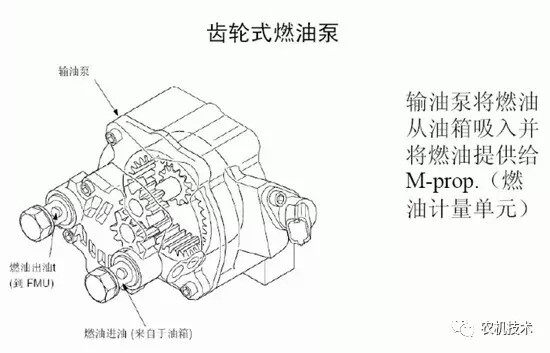640.webp (12).jpg