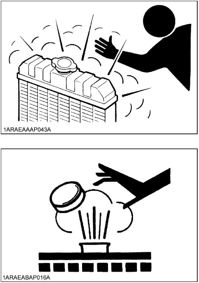 11.webp.jpg