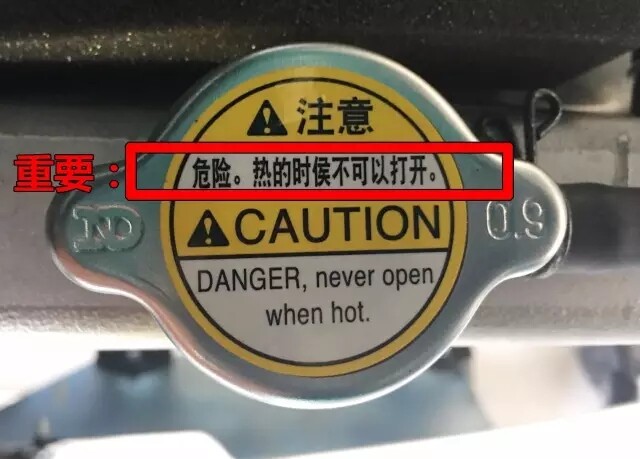 33.webp.jpg