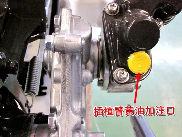 640.webp.jpg
