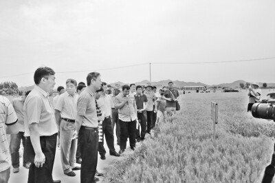一次施肥营养管“一生”.jpg
