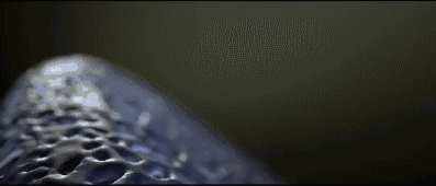 0_wx_fmt=gif&wxfrom=5&wx_lazy=1.gif