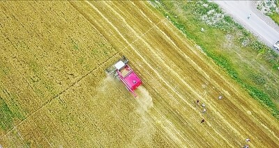 为中国量身定制的麦赛福格森T5收割机亮相新疆.jpg